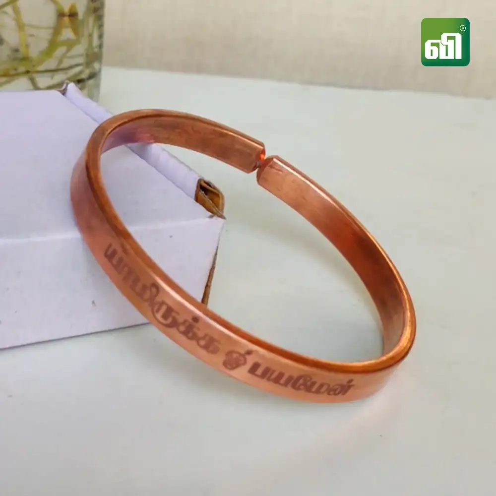 யாமிருக்க பயமேன் (ஓம் வேல்) - image 2